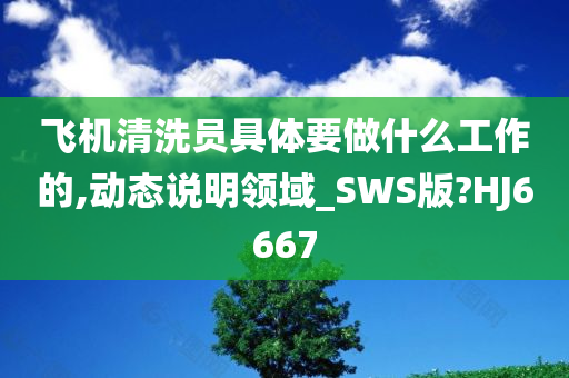 飞机清洗员具体要做什么工作的,动态说明领域_SWS版?HJ6667