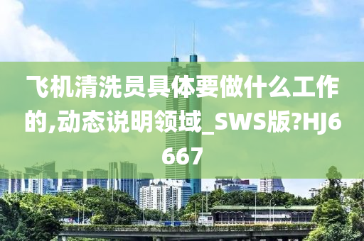 飞机清洗员具体要做什么工作的,动态说明领域_SWS版?HJ6667