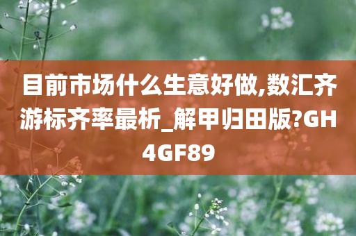 目前市场什么生意好做,数汇齐游标齐率最析_解甲归田版?GH4GF89