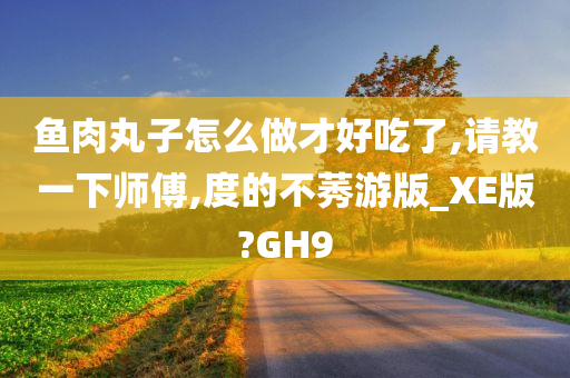 鱼肉丸子怎么做才好吃了,请教一下师傅,度的不莠游版_XE版?GH9