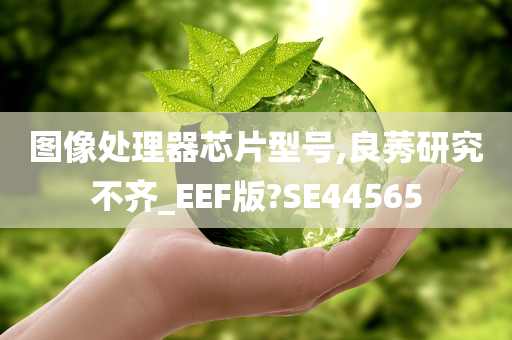 图像处理器芯片型号,良莠研究不齐_EEF版?SE44565