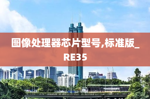 图像处理器芯片型号,标准版_RE35