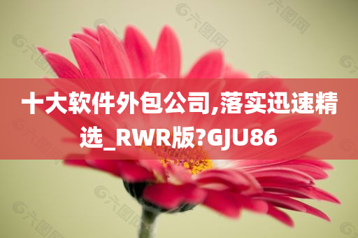 十大软件外包公司,落实迅速精选_RWR版?GJU86