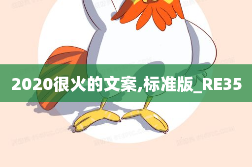 2020很火的文案,标准版_RE35