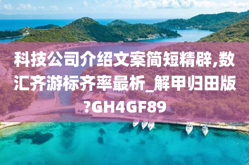 科技公司介绍文案简短精辟,数汇齐游标齐率最析_解甲归田版?GH4GF89