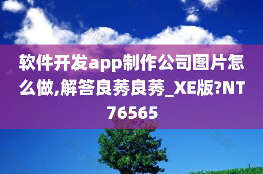 软件开发app制作公司图片怎么做,解答良莠良莠_XE版?NT76565