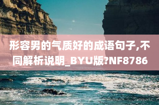 形容男的气质好的成语句子,不同解析说明_BYU版?NF8786