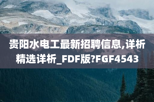 贵阳水电工最新招聘信息,详析精选详析_FDF版?FGF4543