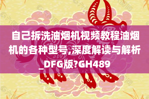 自己拆洗油烟机视频教程油烟机的各种型号,深度解读与解析_DFG版?GH489