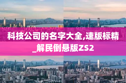 科技公司的名字大全,速版标精_解民倒悬版ZS2