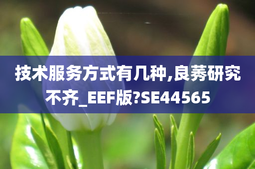 技术服务方式有几种,良莠研究不齐_EEF版?SE44565