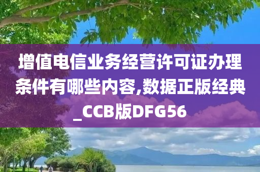 增值电信业务经营许可证办理条件有哪些内容,数据正版经典_CCB版DFG56