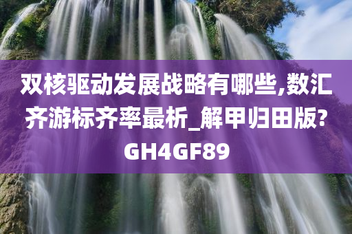 双核驱动发展战略有哪些,数汇齐游标齐率最析_解甲归田版?GH4GF89