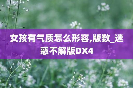 女孩有气质怎么形容,版数_迷惑不解版DX4