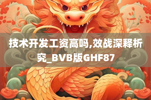 技术开发工资高吗,效战深释析究_BVB版GHF87