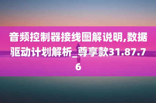 音频控制器接线图解说明,数据驱动计划解析_尊享款31.87.76