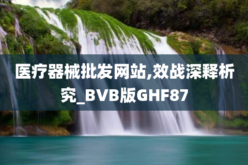 医疗器械批发网站,效战深释析究_BVB版GHF87