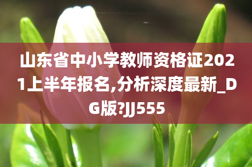 山东省中小学教师资格证2021上半年报名,分析深度最新_DG版?JJ555