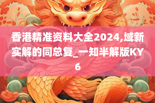 香港精准资料大全2024,域新实解的同总复_一知半解版KY6