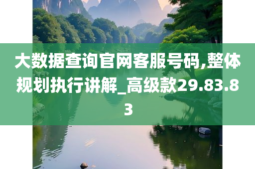 大数据查询官网客服号码,整体规划执行讲解_高级款29.83.83