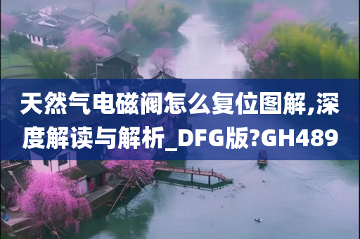 天然气电磁阀怎么复位图解,深度解读与解析_DFG版?GH489