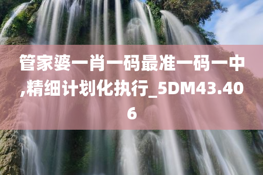 管家婆一肖一码最准一码一中,精细计划化执行_5DM43.406