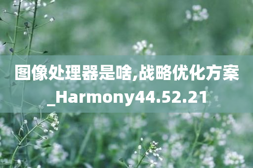 图像处理器是啥,战略优化方案_Harmony44.52.21