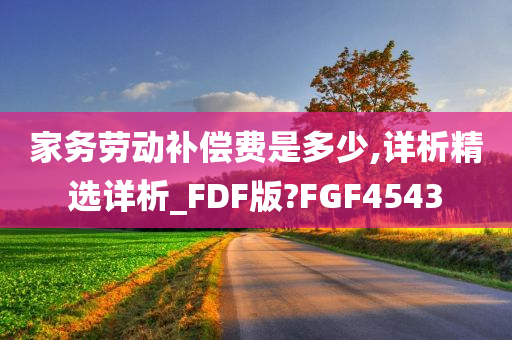 家务劳动补偿费是多少,详析精选详析_FDF版?FGF4543