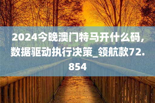 2024今晚澳门特马开什么码,数据驱动执行决策_领航款72.854