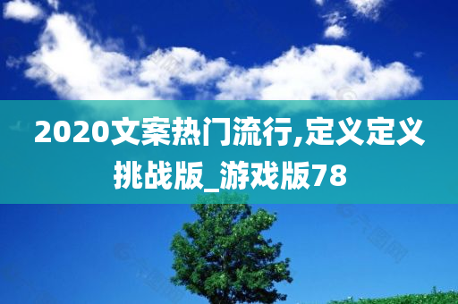 2020文案热门流行,定义定义挑战版_游戏版78