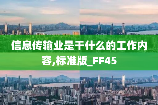 信息传输业是干什么的工作内容,标准版_FF45