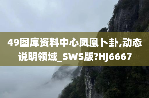 49图库资料中心凤凰卜卦,动态说明领域_SWS版?HJ6667