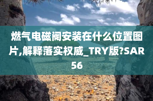 燃气电磁阀安装在什么位置图片,解释落实权威_TRY版?SAR56