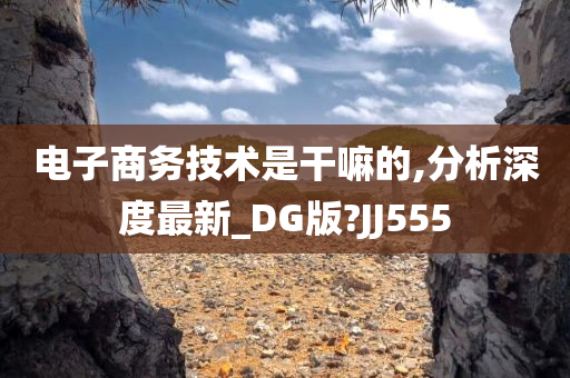 电子商务技术是干嘛的,分析深度最新_DG版?JJ555