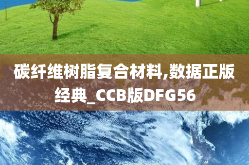 碳纤维树脂复合材料,数据正版经典_CCB版DFG56