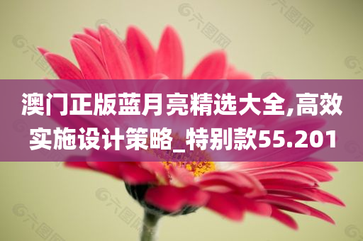 澳门正版蓝月亮精选大全,高效实施设计策略_特别款55.201