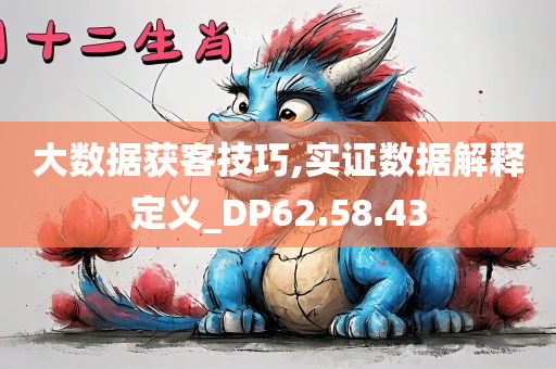 大数据获客技巧,实证数据解释定义_DP62.58.43