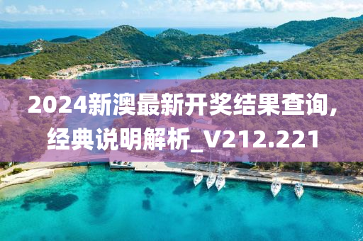 2024新澳最新开奖结果查询,经典说明解析_V212.221