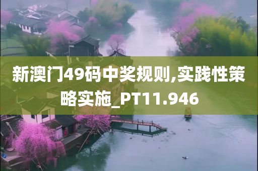 新澳门49码中奖规则,实践性策略实施_PT11.946