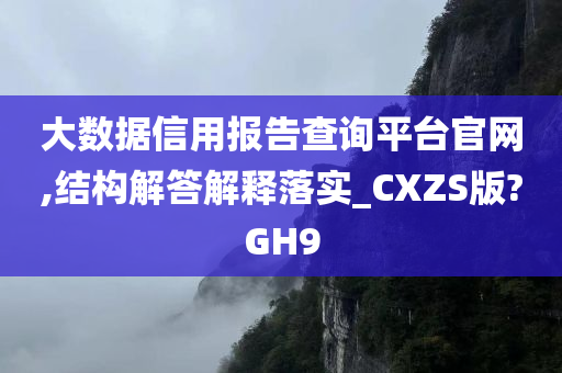 大数据信用报告查询平台官网,结构解答解释落实_CXZS版?GH9