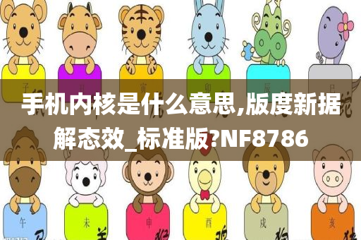 手机内核是什么意思,版度新据解态效_标准版?NF8786