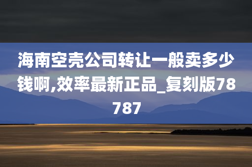 海南空壳公司转让一般卖多少钱啊,效率最新正品_复刻版78787