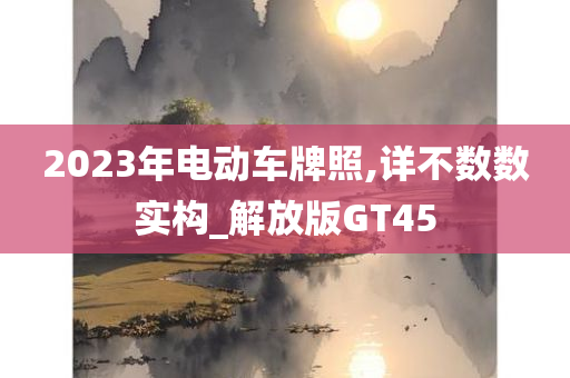 2023年电动车牌照,详不数数实构_解放版GT45