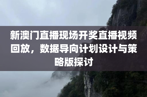 新澳门直播现场开奖直播视频回放，数据导向计划设计与策略版探讨