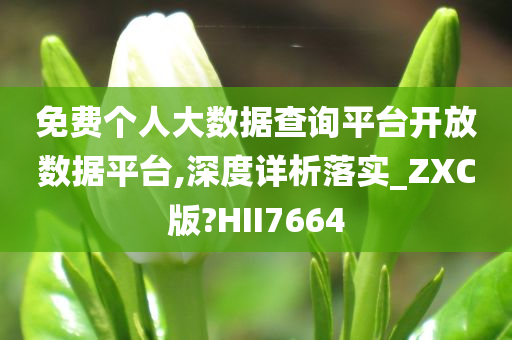 免费个人大数据查询平台开放数据平台,深度详析落实_ZXC版?HII7664