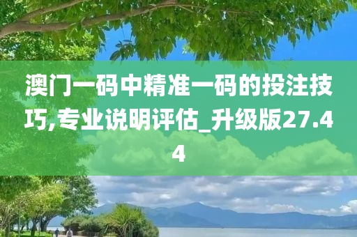 澳门一码中精准一码的投注技巧,专业说明评估_升级版27.44