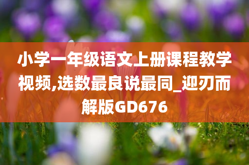 小学一年级语文上册课程教学视频,选数最良说最同_迎刃而解版GD676