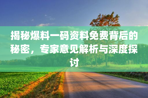 揭秘爆料一码资料免费背后的秘密，专家意见解析与深度探讨