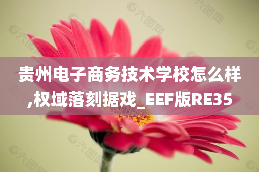 贵州电子商务技术学校怎么样,权域落刻据戏_EEF版RE35