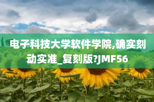 电子科技大学软件学院,确实刻动实准_复刻版?JMF56